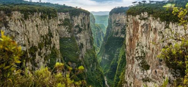 Tour Canyon Fortaleza & Itaimbezinho + Transporte