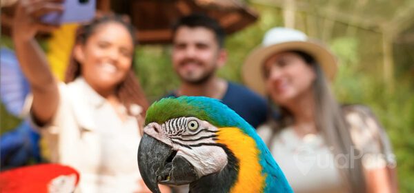 Parque das Aves - CONECTA
