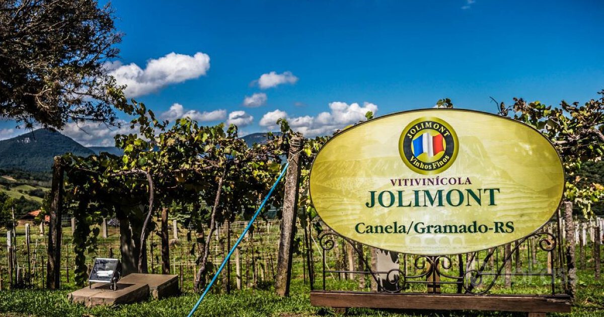 Vinícolas em Gramado e Canela, wine trip Serra Gaúcha