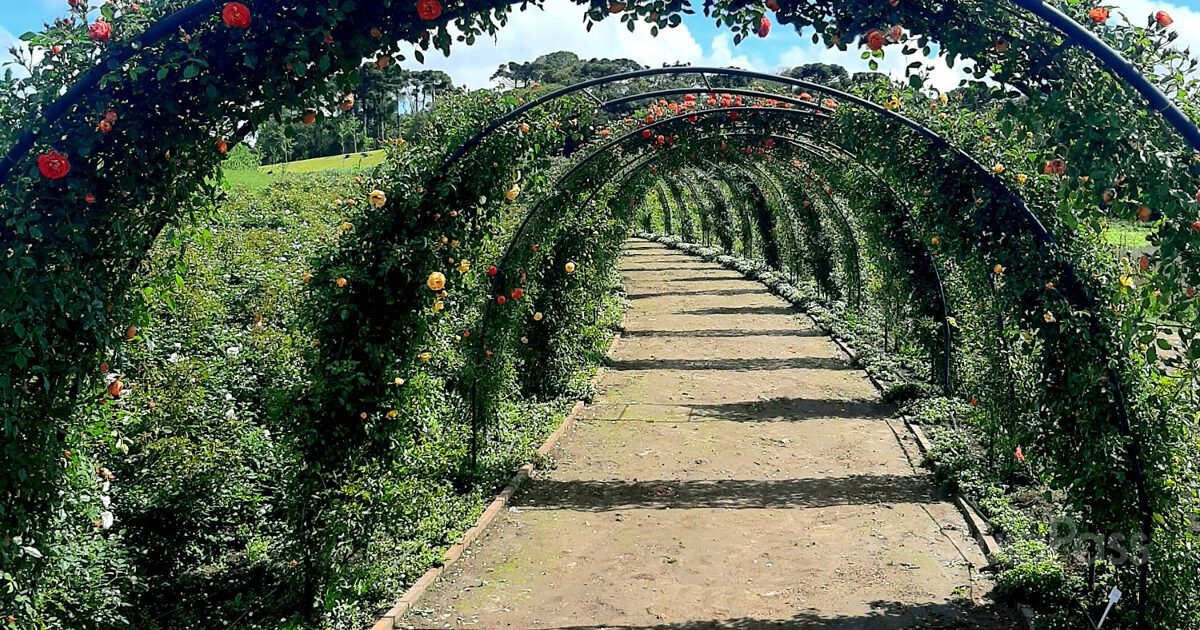M tria Parque De Flores S o Francisco De Paula m-tria-parque-de-flores-s-o-francisco-de-paula
