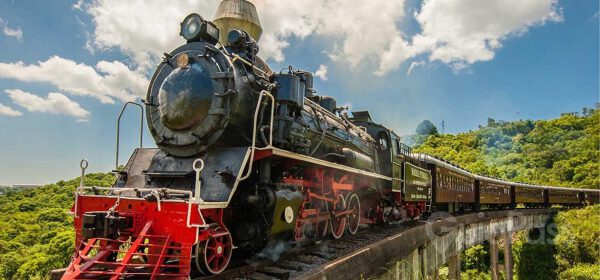 Maria Fumaça: Trem + Epopeia + Almoço + Vinícola