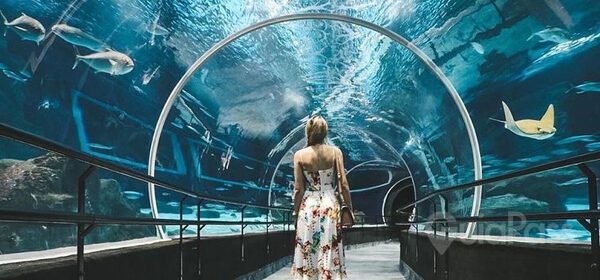 AquaRio + Boulevard Olímpico