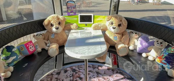 Roda Gigante: Cabine Vip Kids Criamigos