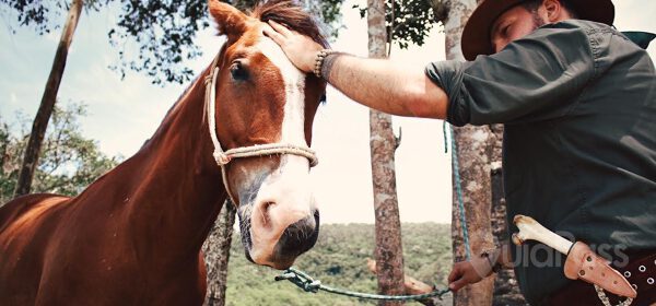 Passeio a Cavalo no Sítio Tradição - 20 minutos