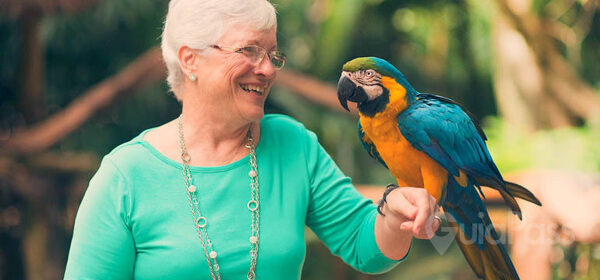 Parque das Aves